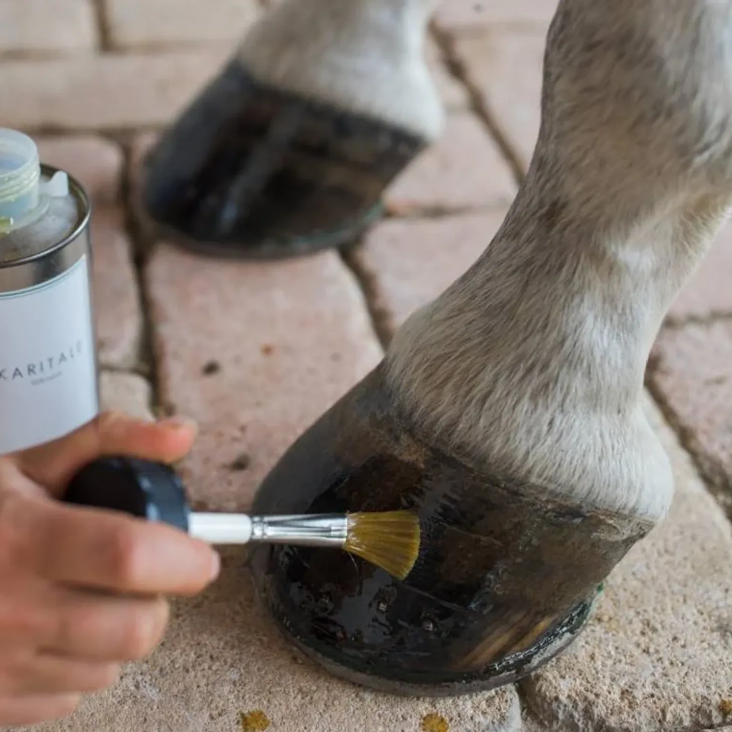 karitale-huile-de-soin-pour-sa-EobbqDNe-2.webp Best Karitale Huile De Soin Pour Sabot