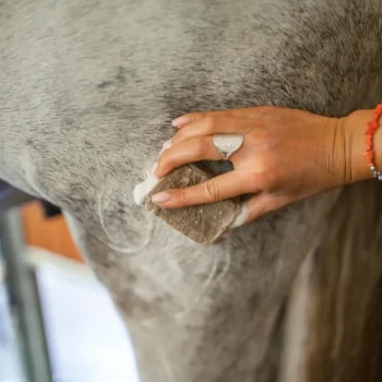 Online Karitale Shampoing Solide Classique