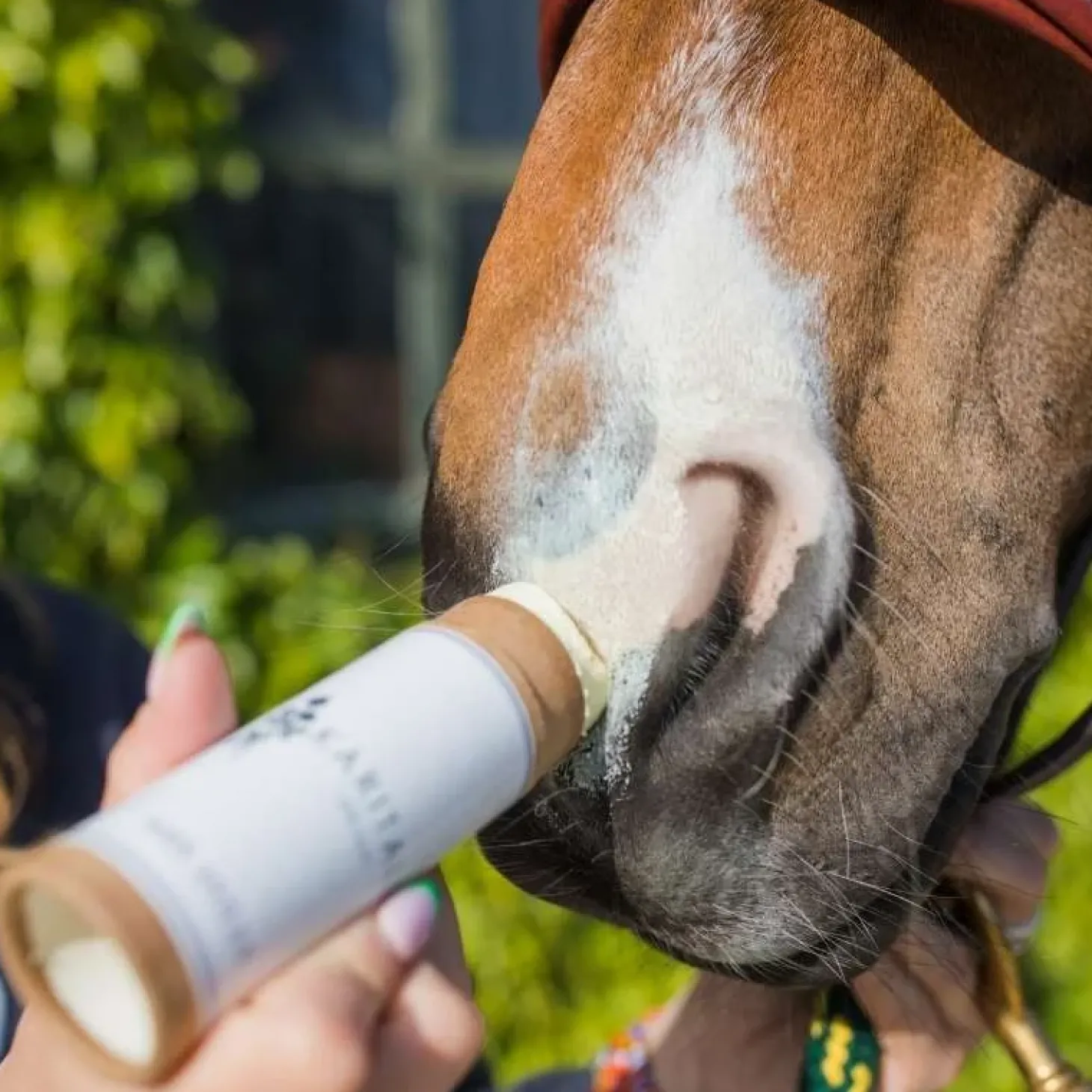 karitale-soin-anti-uv-ftWBzhLb-1.webp New Karitale Soin Anti UV