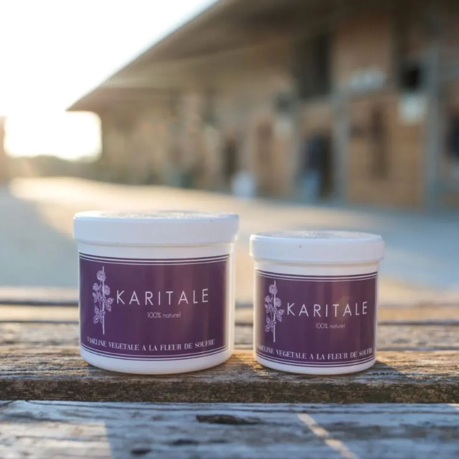 karitale-vaseline-vgtale-au-so-tMECJWdl-1.webp New Karitale Vaseline Végétale Au Soufre