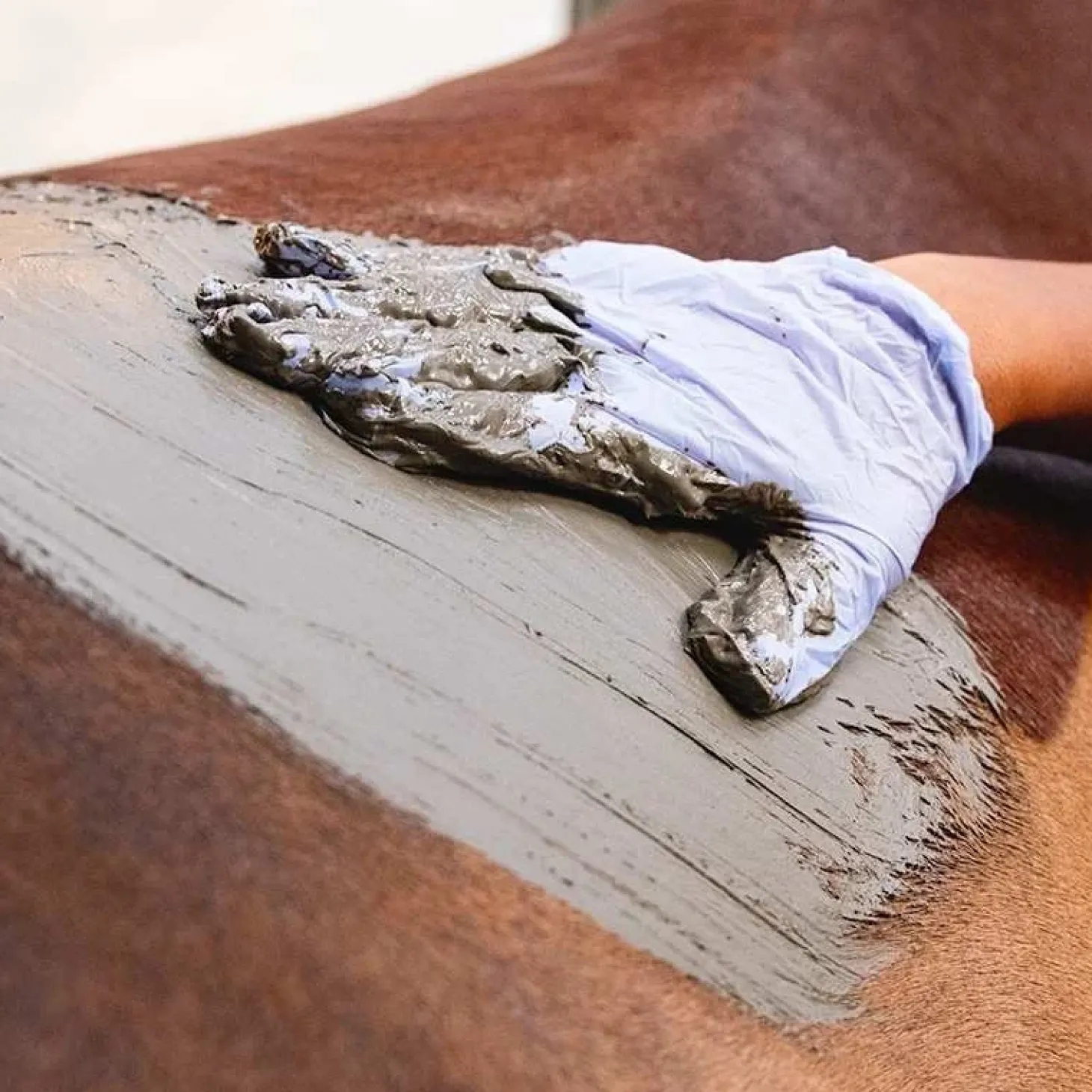 karitale-vritable-boue-marine-RfViLCbt-3.webp Clearance Karitale Véritable Boue Marine