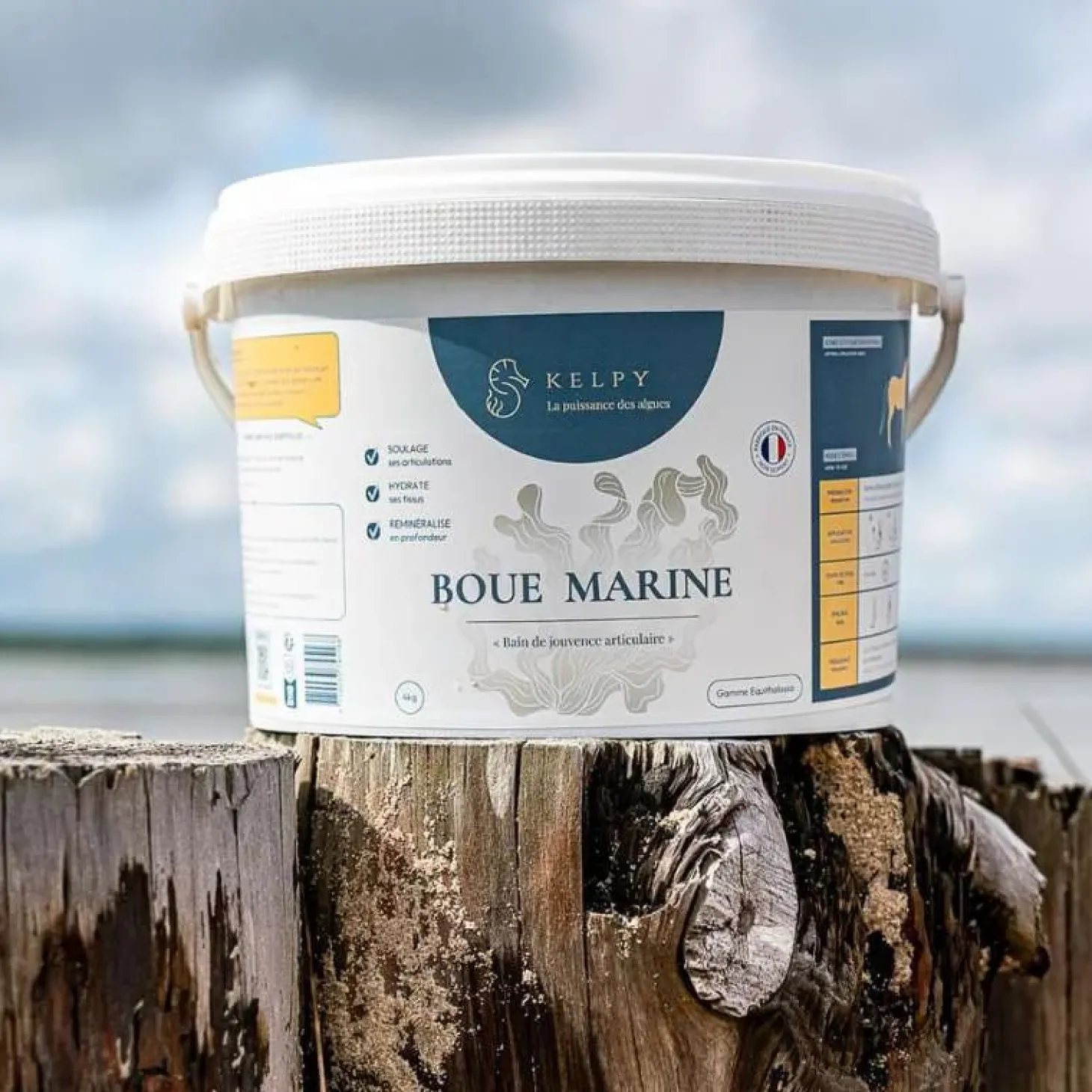 kelpy-boue-marine-TxdEKtgR-1.webp Online Kelpy Boue Marine