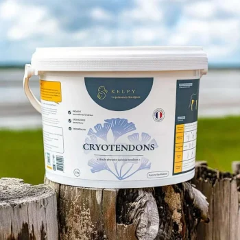 Best Kelpy Cryotendons