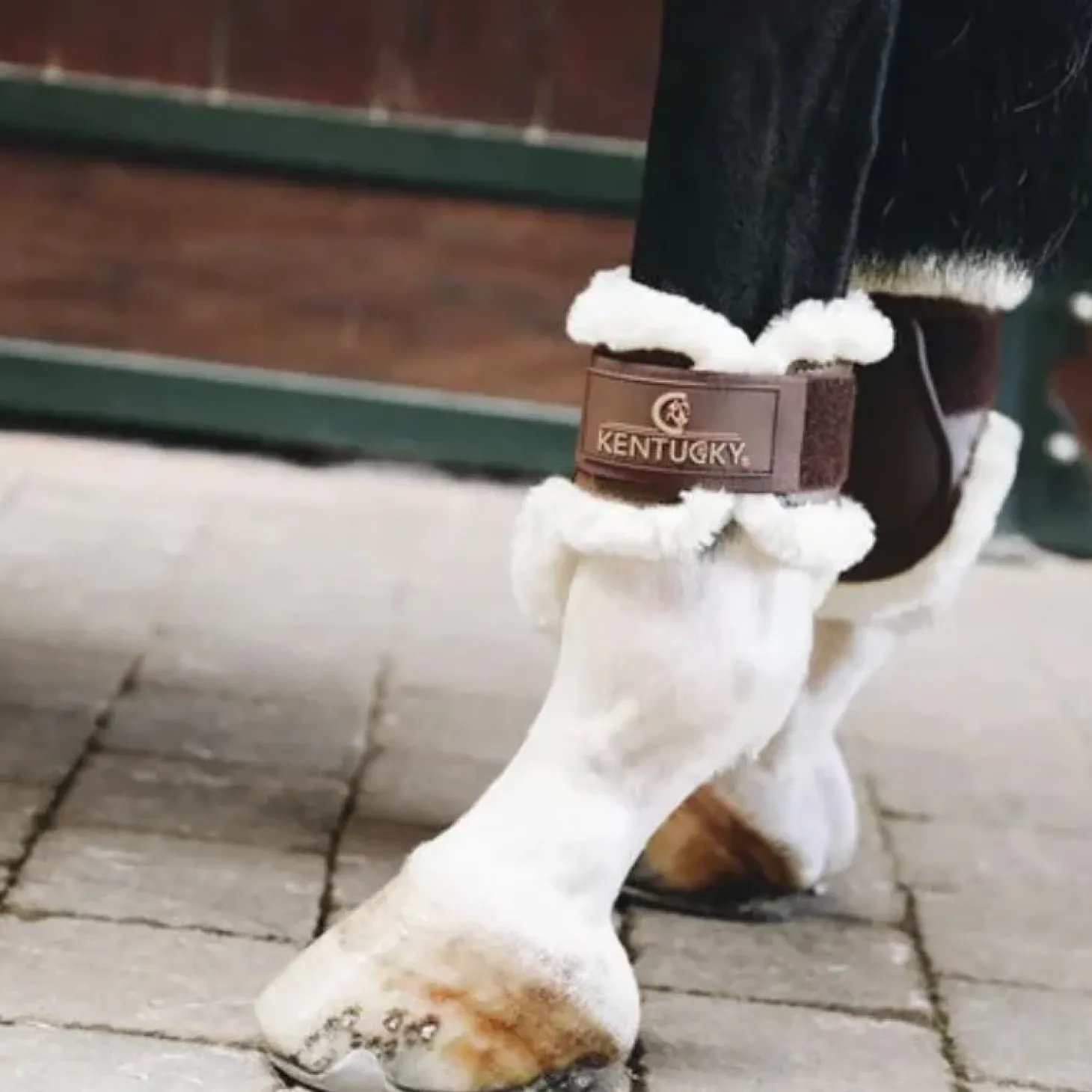 kentucky-protge-boulets-jeunes-RzCEQIlx-2.webp Hot Kentucky Horsewear Kentucky Protège Boulets Jeunes Chevaux Mouton Marron