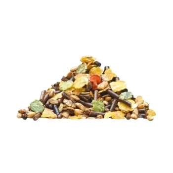 Online Lambey Old Master Floconné Cheval Agé