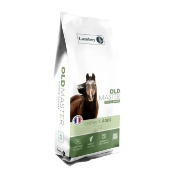 Online Lambey Old Master Floconné Cheval Agé