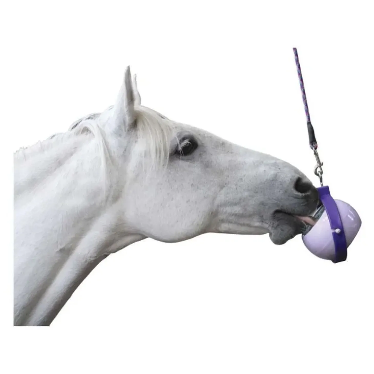 likit-boredom-buster-support-l-jfYygWCI-2.webp Hot Likit Boredom Buster Support Little