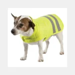 Hot Equi-Theme Manteau Chien Equitheme Visibilité