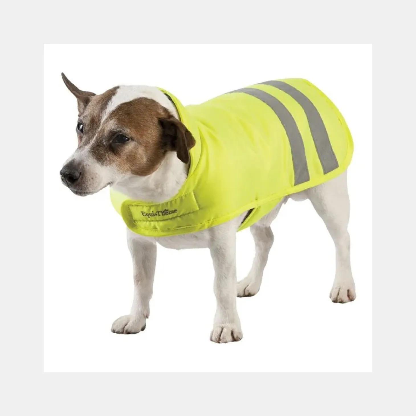 manteau-chien-equitheme-visibi-uRguKQAU-0.webp Hot Equi-Theme Manteau Chien Equitheme Visibilité
