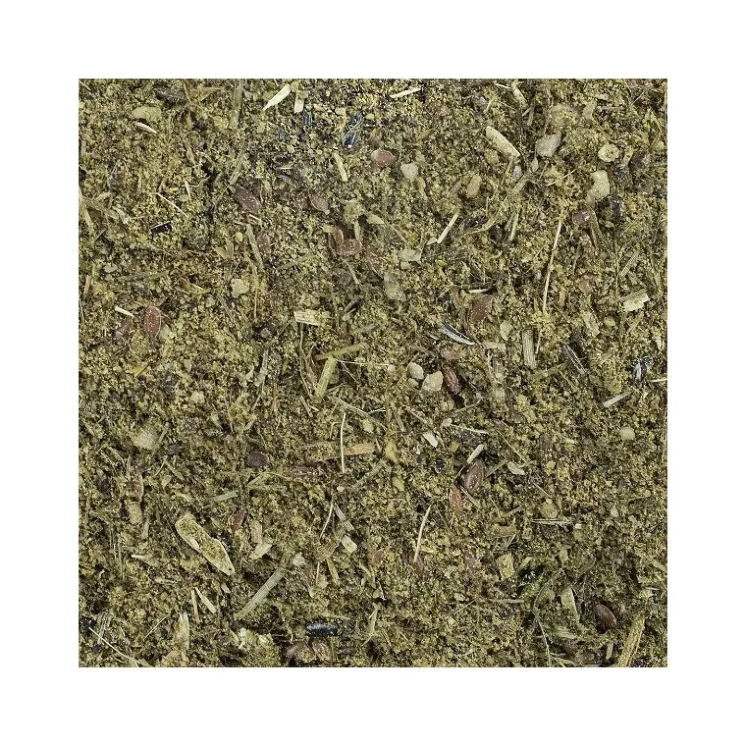 mash-cheval-speed-aux-herbes-ULcmiDPF-1.webp Best Speed Mash Cheval Aux Herbes