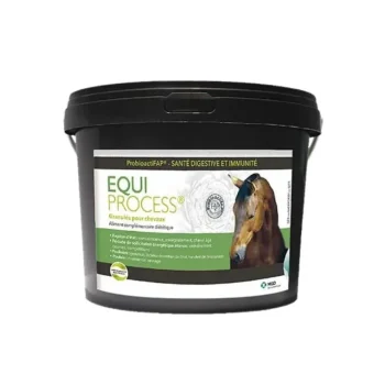 Online Laboratoire MSD MSD Equi Process