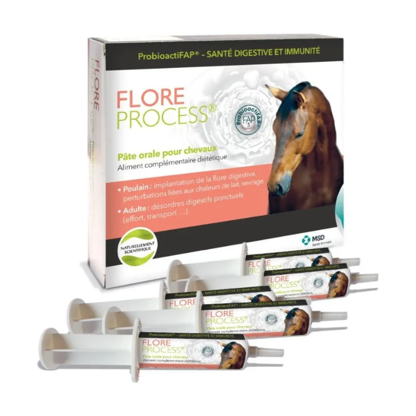 msd-flore-process-VnoXrmUQ-0.webp New Laboratoire MSD MSD Flore Process