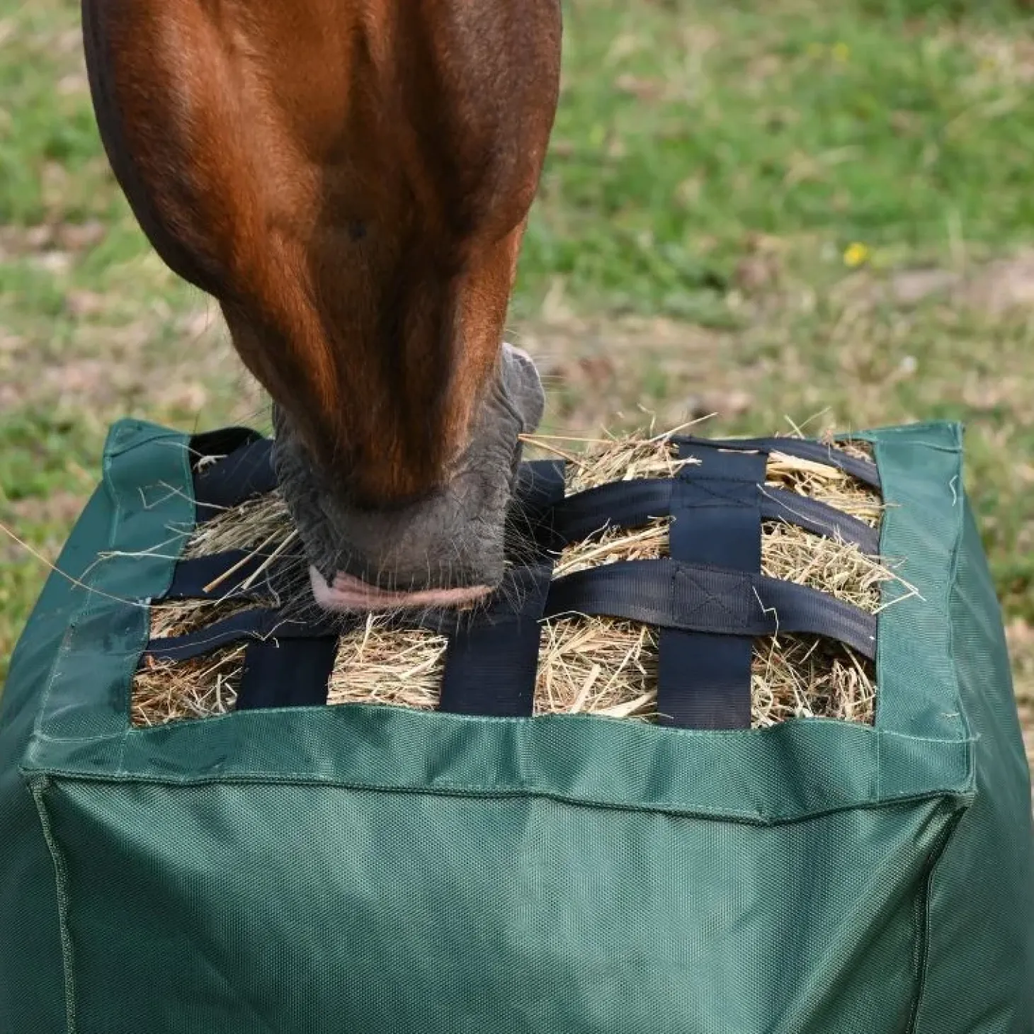 natural-innov-naturalkub-uptcesAY-3.webp Fashion Natural Innov Natural'Kub