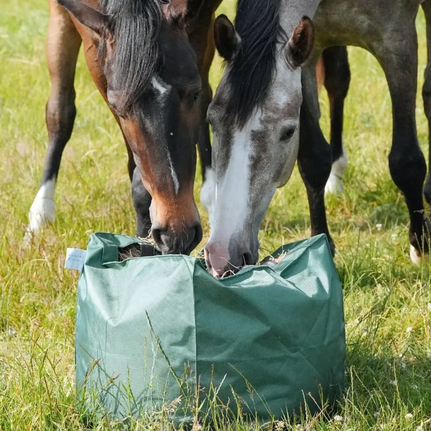 natural-innov-naturalkub-uptcesAY-4.webp Fashion Natural Innov Natural'Kub