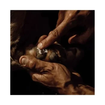 Sale Nellumbo Baume Naturel Coussinets