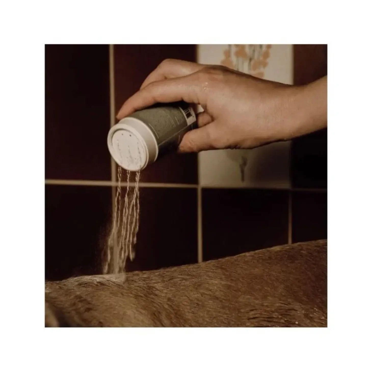 nellumbo-shampoing-chien-poudr-adcZXuho-2.webp Clearance Nellumbo Shampoing Chien Poudre Moussant