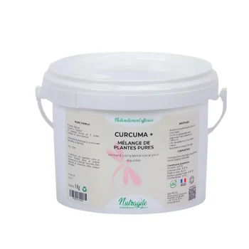 Online Nutragile Curcuma+
