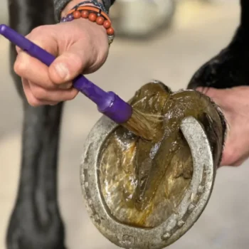 Sale Nutragile Huile De Cade