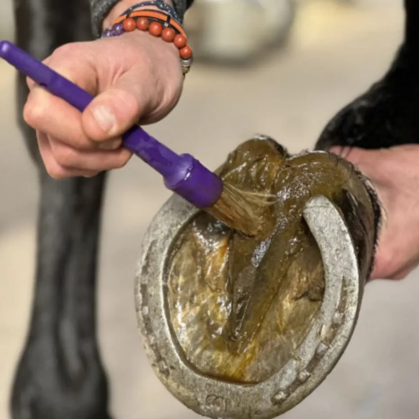 nutragile-huile-de-cade-fujnNcxA-1.webp Sale Nutragile Huile De Cade