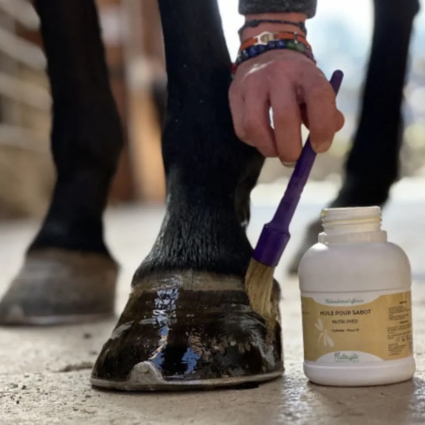 nutragile-nutri-pied-XSrskJpZ-1.webp Clearance Nutragile Nutri Pied