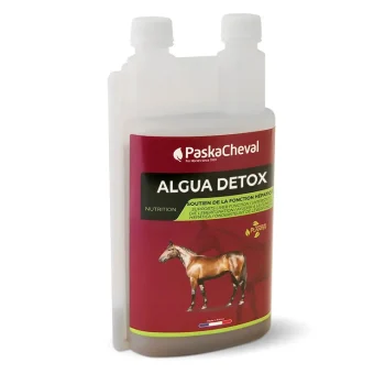 Clearance Paskacheval Algua Detox Drainage Cheval