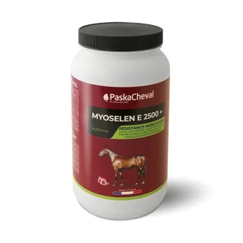 New Paskacheval Myoselen E2500+