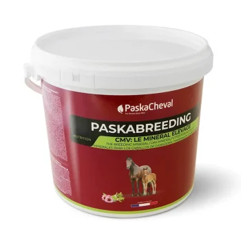 Sale Paskacheval Paskabreeding CMV Cheval