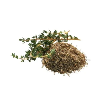 New Phytology VetCare Thym Pur Toux Sèche Et Respiration Cheval