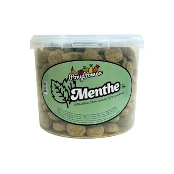 Best Pony Power Friandises Menthe
