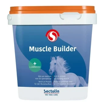 Online Sectolin Muscle Builder