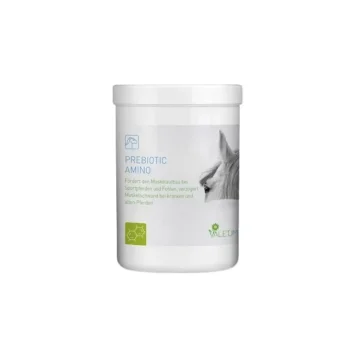 Sale Valetumed Prebiotic Amino Développement Musculaire