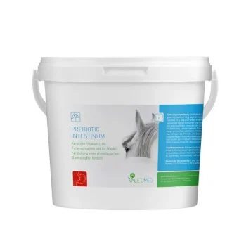Online Valetumed Prebiotic Intestinum Digestion Cheval