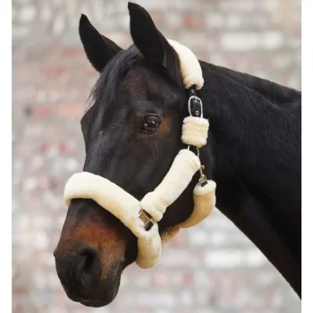 Discount Waldhausen Licol Cozy - Crème / Argent